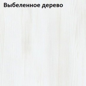 Угловой шкаф с зеркалом YR-230х1034-TR-M Риал в Ноябрьске - noyabrsk.mebel-74.com | фото