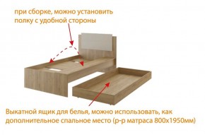 Дуглас (подростковая) М14 Кровать в Ноябрьске - noyabrsk.mebel-74.com | фото