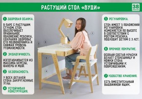 Комплект растущий стол и стул 38 попугаев «Вуди» (Серый, Без покрытия) в Ноябрьске - noyabrsk.mebel-74.com | фото
