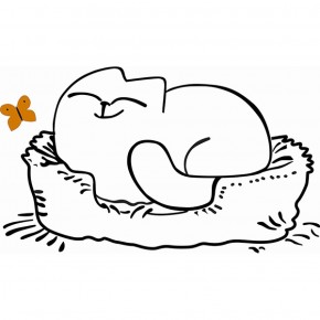 Кровать двухуровневая Кот № 900.1 ЛЕВАЯ (туя светлая/белый) в Ноябрьске - noyabrsk.mebel-74.com | фото