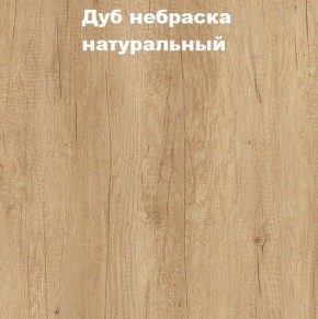 Кровать с основанием с ПМ и местом для хранения (1600) в Ноябрьске - noyabrsk.mebel-74.com | фото