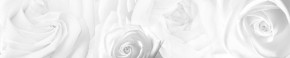 Кухонный фартук Цветы 217 МДФ матовый (3000) Flowers в Ноябрьске - noyabrsk.mebel-74.com | фото