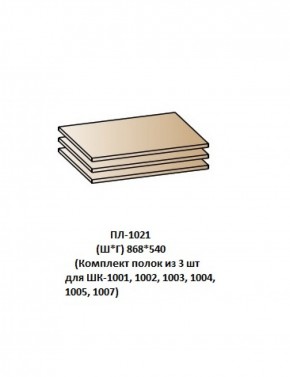 ПЛ-1021 (Комплект полок из 3 шт для ШК-1001, 1002, 1003, 1004, 1005, 1007) в Ноябрьске - noyabrsk.mebel-74.com | фото