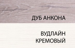 Шкаф 2DG, OLIVIA, цвет вудлайн крем/дуб анкона в Ноябрьске - noyabrsk.mebel-74.com | фото