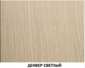 Шкаф для одежды №609 "Инна" Денвер светлый (*без полок) в Ноябрьске - noyabrsk.mebel-74.com | фото