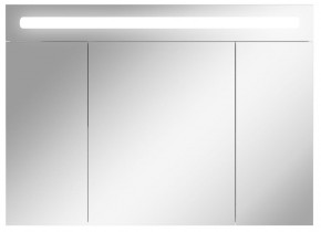 Шкаф-зеркало Аврора 100 с подсветкой LED Домино (DV8012HZ) в Ноябрьске - noyabrsk.mebel-74.com | фото