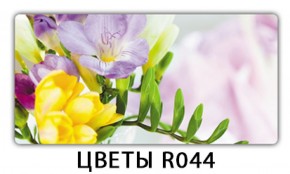 Стол раздвижной Бриз орхидея R041 Доска D110 в Ноябрьске - noyabrsk.mebel-74.com | фото