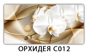 Стол раздвижной Трилогия с фотопечатью Орхидея C012 в Ноябрьске - noyabrsk.mebel-74.com | фото