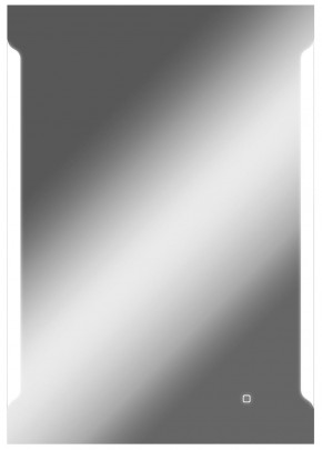 Зеркало Оттава 1000х700 с подсветкой Домино (GL7028Z) в Ноябрьске - noyabrsk.mebel-74.com | фото